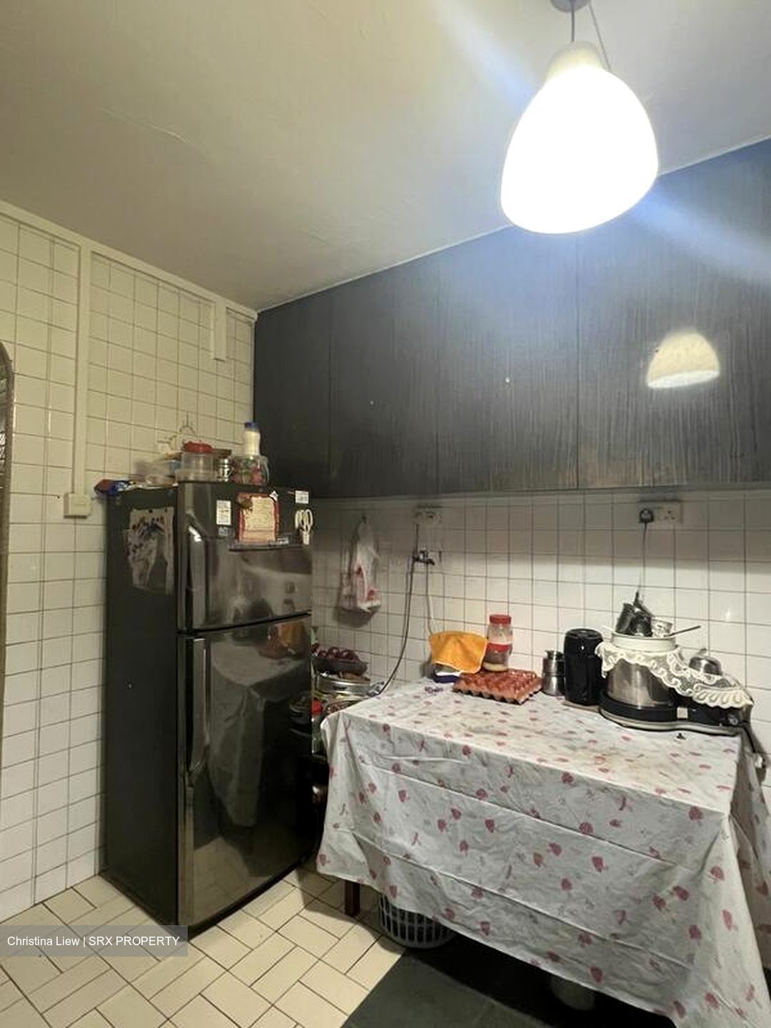 Blk 123 Mcnair Spring (Kallang/Whampoa), HDB 3 Rooms #505023301